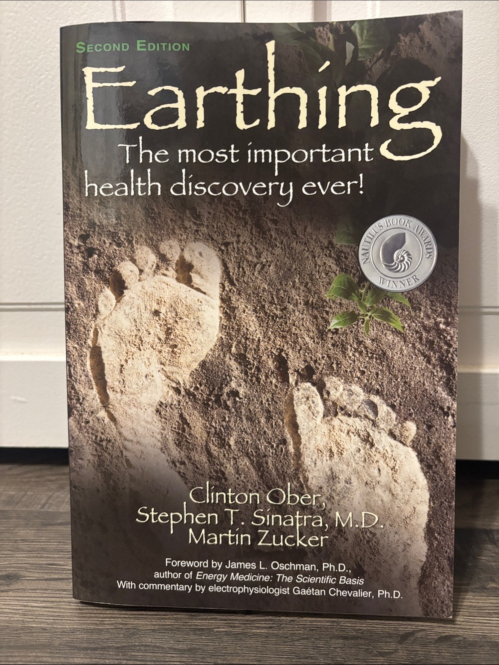 Earthing: The Most Important Health Discovery Ever! Paperback Book